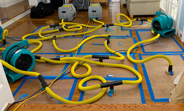 Professional Structural Drying And Dehumidification technician working in Central, LA
